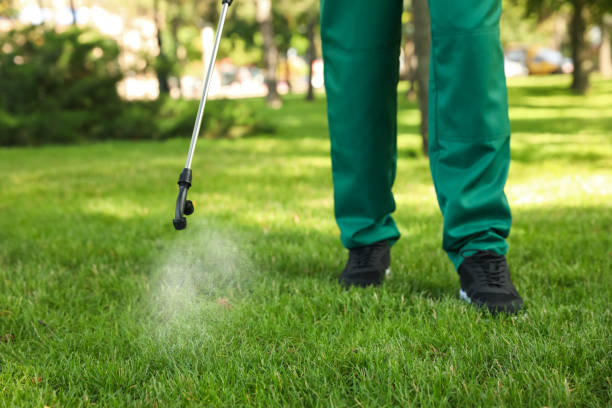 Best Pest Control Near Me in Mcarthur, OH