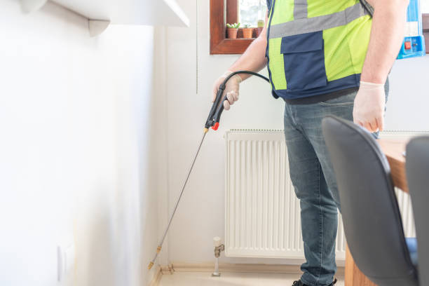 Wasp Removal Services in Mcarthur, OH