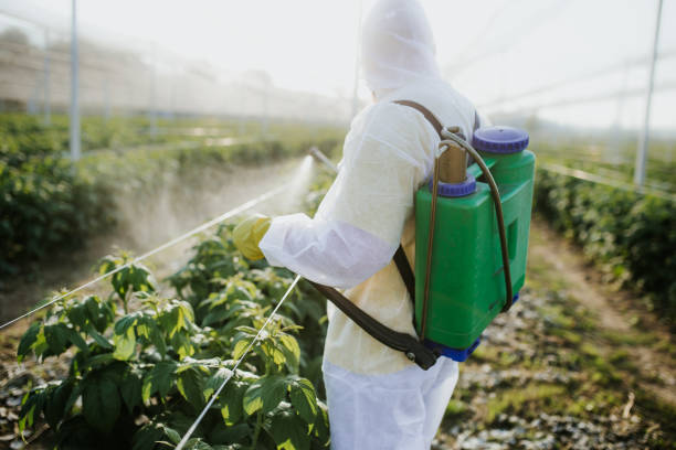 Best Bed Bug Extermination  in Mcarthur, OH